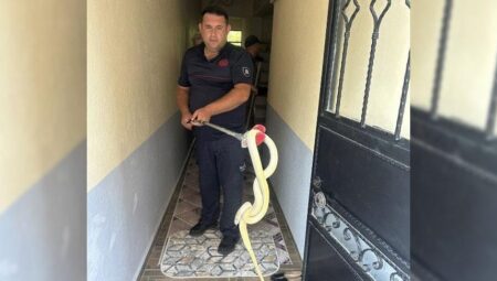 Yer: Balıkesir! Mesken sahibi dev yılanla karşılaşınca şoke oldu