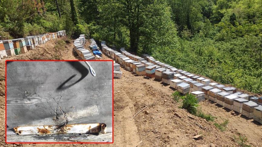 1.5 milyon bir gecede yok oldu! Hepsi zehirlenerek öldürüldü