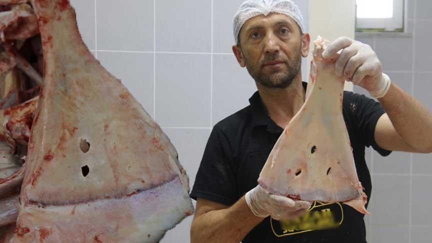 240 kemik ortasından yalnızca ikisini kırıyorlar: ‘Büyü yapılmasın diye yok ediyoruz’