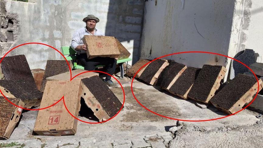Adanalı mucit köy girişine yerleştirdi! ’15 dakikada 4 karton doldu’