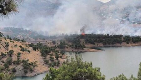 Adıyaman’da orman yangını! Çok sayıda grup sevk edildi