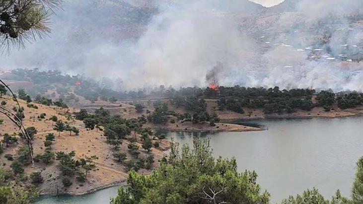 Adıyaman’da orman yangını! Çok sayıda grup sevk edildi