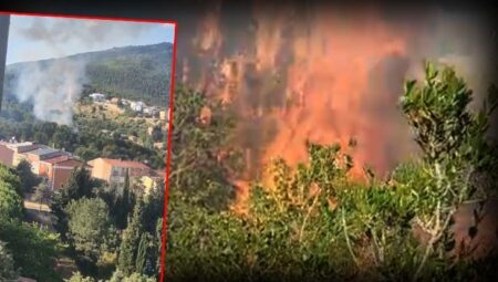 Aydos Ormanı’nda yangın kısa müddette denetim altına alındı