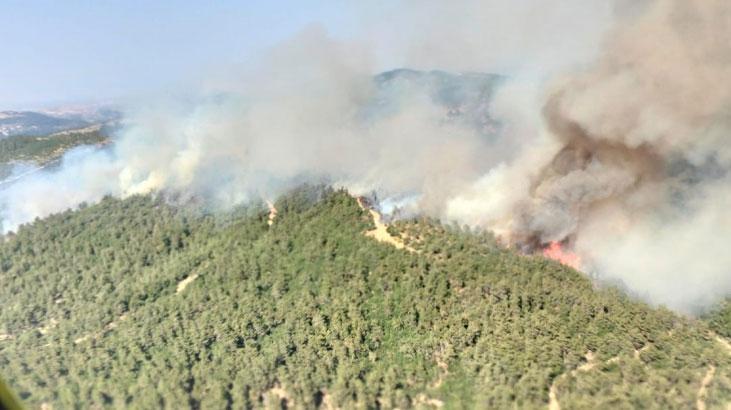 Balıkesir’deki orman yangını denetim altında