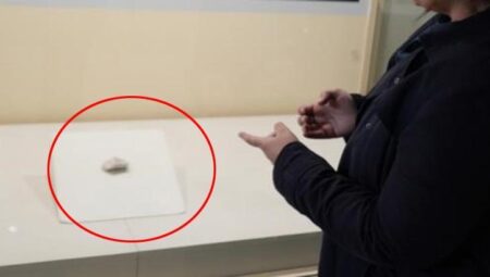Bilecik’te mağarada ortaya çıktı: Tüm tarihi değiştirecek