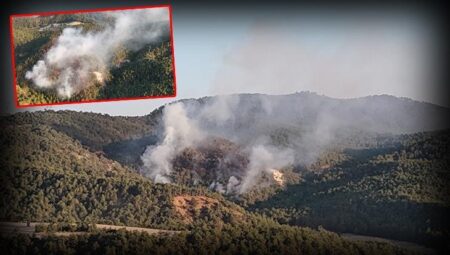 Bolu’da orman yangını! Takımlar havadan ve karadan müdahale ediyor