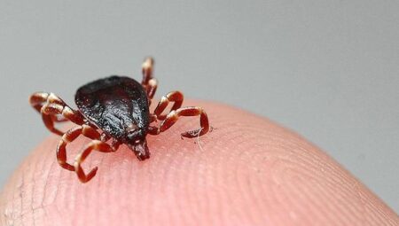 Bolu’da şok vaka! Birinci vefat gerçekleşti kent diken üstünde