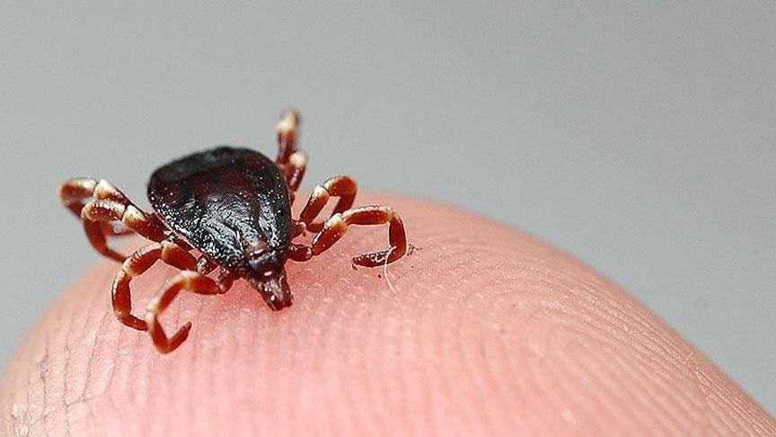 Bolu’da şok vaka! Birinci vefat gerçekleşti kent diken üstünde