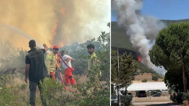Bursa’da orman yangını! Bölgede güç akışı kesildi