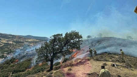 Çanakkale’de korkutan yangın! Havadan ve karadan müdahale başladı