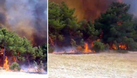 Çanakkale’de orman yangını! Çok sayıda takım sevk edildi