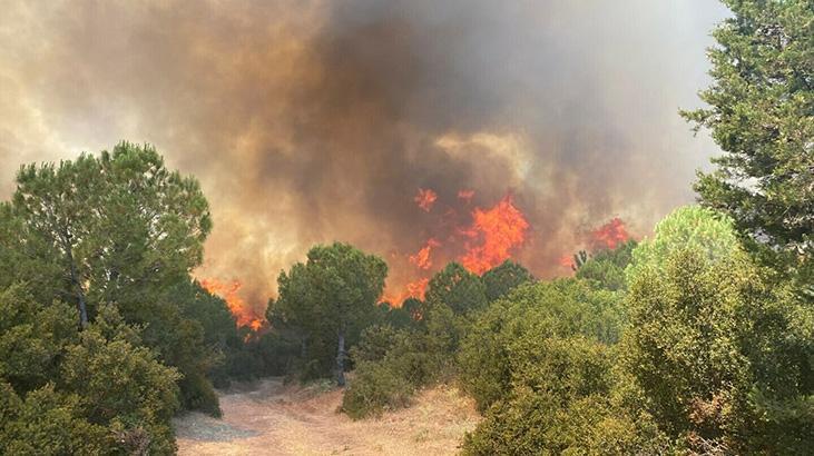 Çanakkale’de orman yangının! 7 uçak, 3 helikopterle müdahale