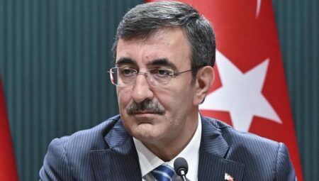 Cumhurbaşkanı Yardımcısı Yılmaz’dan, orman yangınlarıyla ilgili açıklama