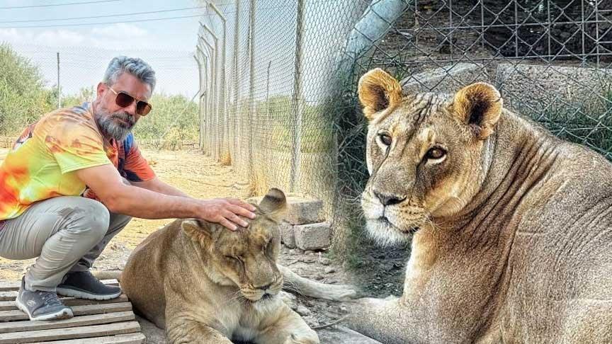 Diyarbakırlı aslan bakıcısı 14’üyle birlikte yaşıyor! ‘Her şey arkadaşımın ikramıyla başladı’