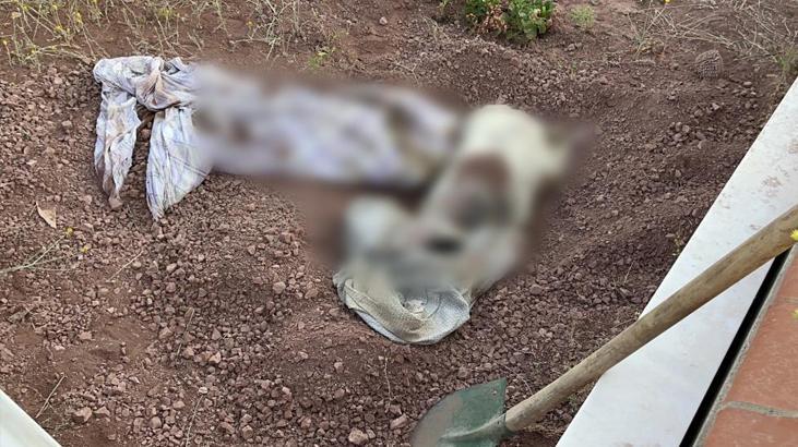 Eskişehir’de mezarlıkta vahim olay! Bezi açan takımların kanı dondu