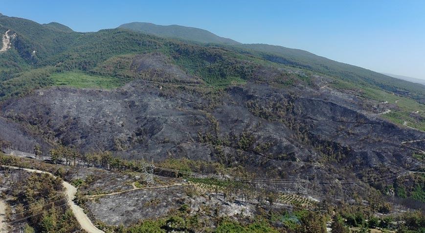 Hatay Dörtyol’daki orman yangını denetim altına alındı