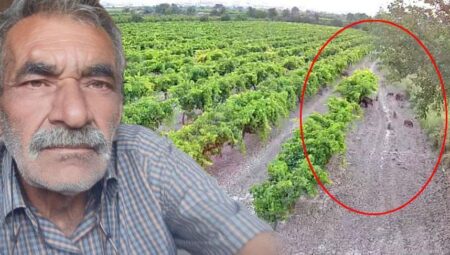 Hırsızlara karşı kamera koydu, imgeyi izleyince şoke oldu! ‘Çok dikkatli olmalıyız’