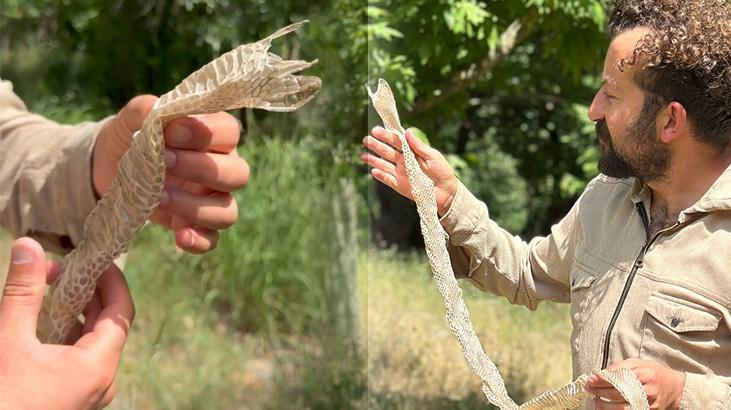 Irak hududunda şaşkına çeviren keşif: Büsbütün bozulmamış