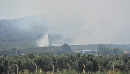 İzmir Aliağa’da orman yangını: Havadan ve karadan müdahale sürüyor