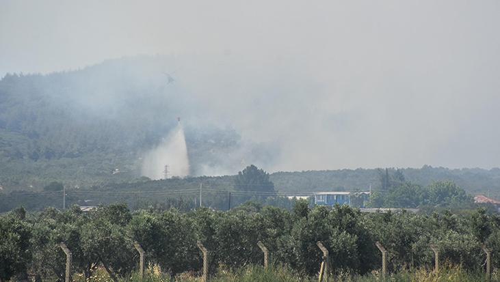 İzmir Aliağa’da orman yangını: Havadan ve karadan müdahale sürüyor