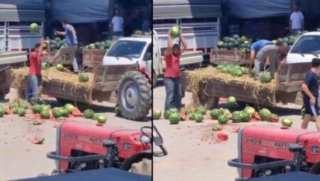 Karpuzları yere atıp parçalayan çiftçilere rekor ceza