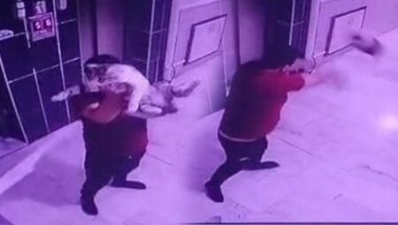 Konya’da vahşet! Gebe kediyi kameraya gösterip yere fırlattı