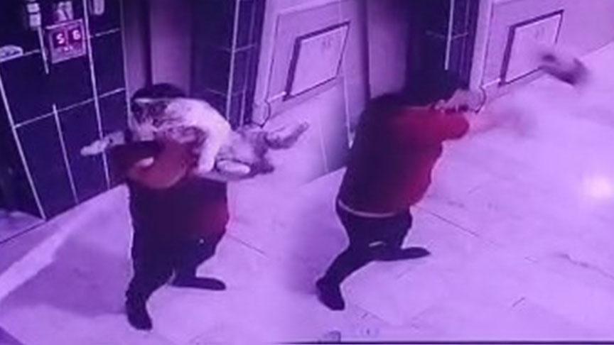 Konya’da vahşet! Gebe kediyi kameraya gösterip yere fırlattı