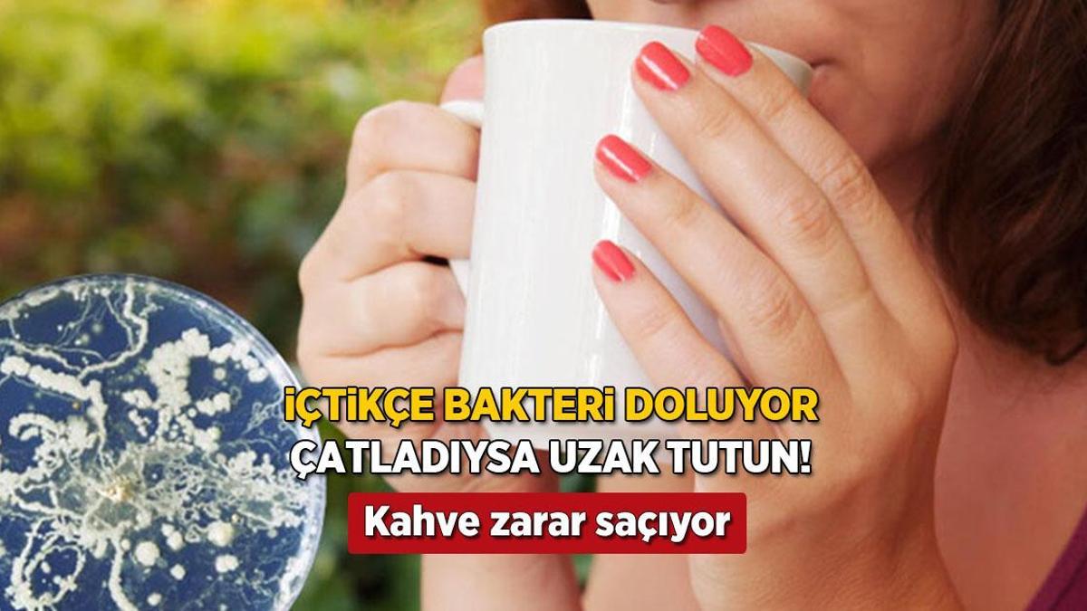 Kupada görünmeyen tehlike! Çatlaklardan mikrop sızıyor, kahve keyfi zehir olmasın