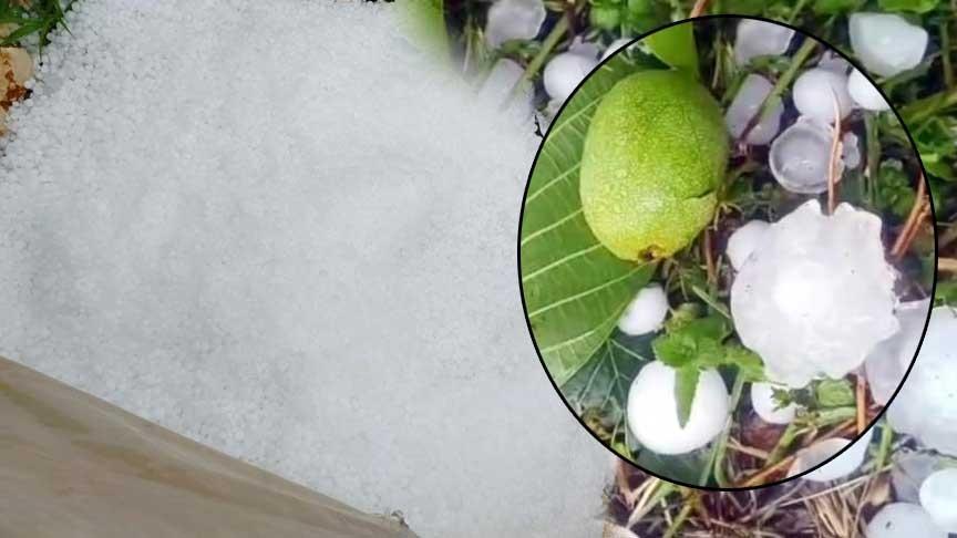 Mersin’i dolu vurdu! Ceviz büyüklüğündeki taneleri gören şoke oldu