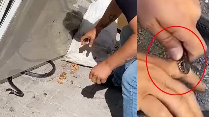 Meskene giren yılanı yakalamak istedi, parmağını kaptırdı