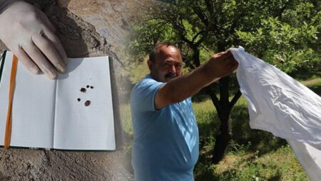 Profesörden kenenin varlığını manaya testi: Şayet ortamda varsa yüksek ihtimalle gelecektir
