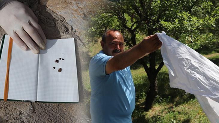 Profesörden kenenin varlığını manaya testi: Şayet ortamda varsa yüksek ihtimalle gelecektir