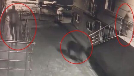 Sitenin bahçesinde büyük panik: ‘Ayı geliyor’ dedi ve kaçmaya başladık