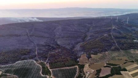 Son dakika… 2 mahallede önlem gayeli tahliye edilmişti! Şarköy’deki orman yangınında son durum…