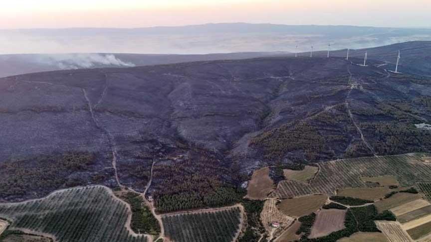 Son dakika… 2 mahallede önlem gayeli tahliye edilmişti! Şarköy’deki orman yangınında son durum…