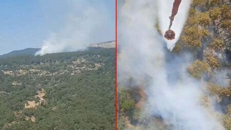 Son dakika… Aydın’da orman yangını! Havadan ve karadan müdahale başladı