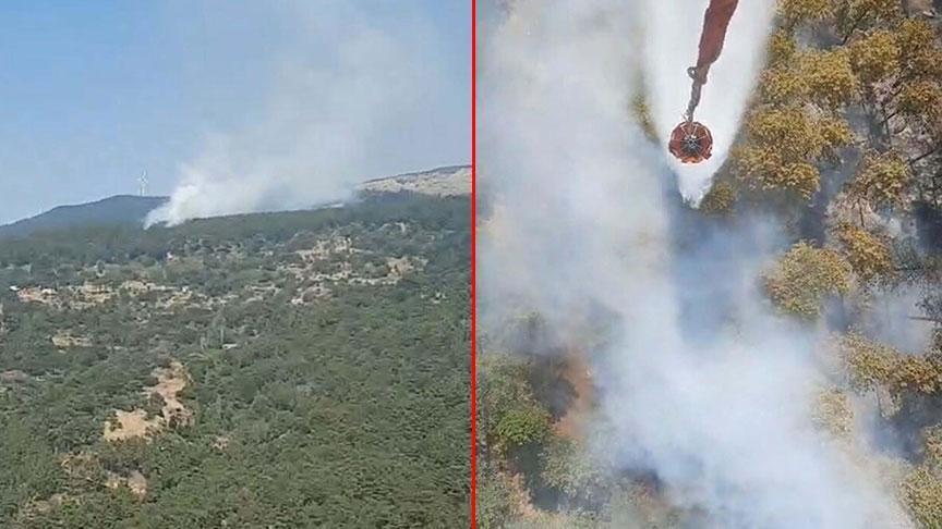 Son dakika… Aydın’da orman yangını! Havadan ve karadan müdahale başladı