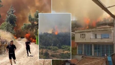 SON DAKİKA Birçok vilayette orman yangınları! Sakarya yangını Bilecik’e sıçradı