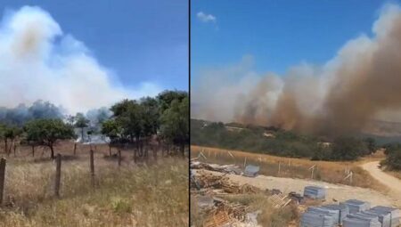 Son dakika… Silivri’de orman yangını! Müdahale başladı