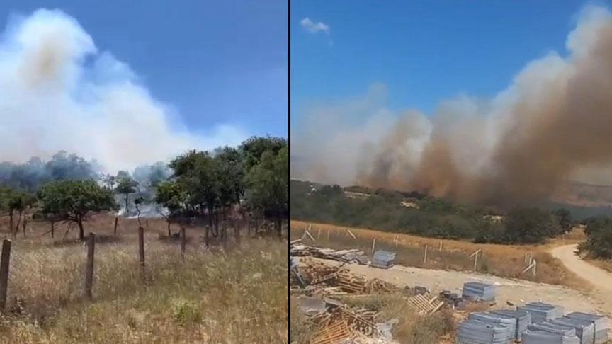 Son dakika… Silivri’de orman yangını! Müdahale başladı