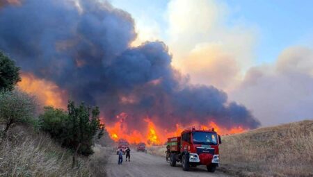 Tekirdağ’da yangın! Alevlerin yaklaştığı mahalle boşaltılıyor