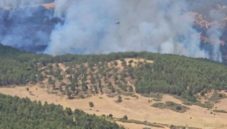 Uşak’taki orman yangını büyük ölçüde denetim altında: 30 hektar kül oldu