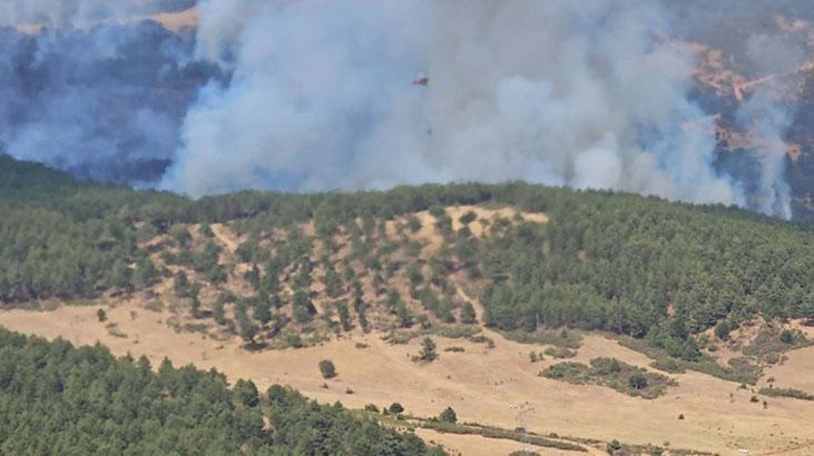 Uşak’taki orman yangını büyük ölçüde denetim altında: 30 hektar kül oldu