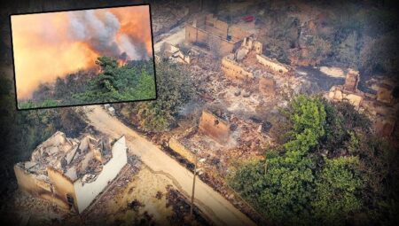 Yangınlarda yüzlerce hayvan yanarak öldü! Köyler boşaltıldı; 13 konut kül oldu