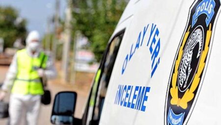 Yavru kediler öldürülmüş olarak bulundu: Dehşetli olayda flaş gelişme