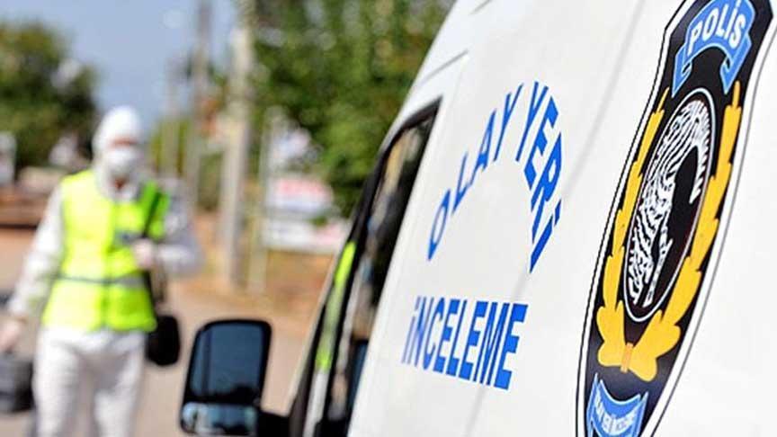 Yavru kediler öldürülmüş olarak bulundu: Dehşetli olayda flaş gelişme