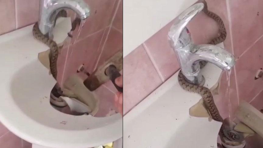 Yer: Bayburt! Meskeninin lavabosundan yılan çıktı