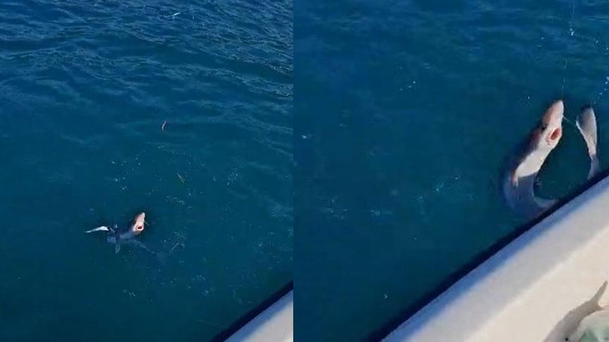 Yer: Trabzon! 3 arkadaş gözlerine inanamadı: Oltaya gelen balık şoke etti